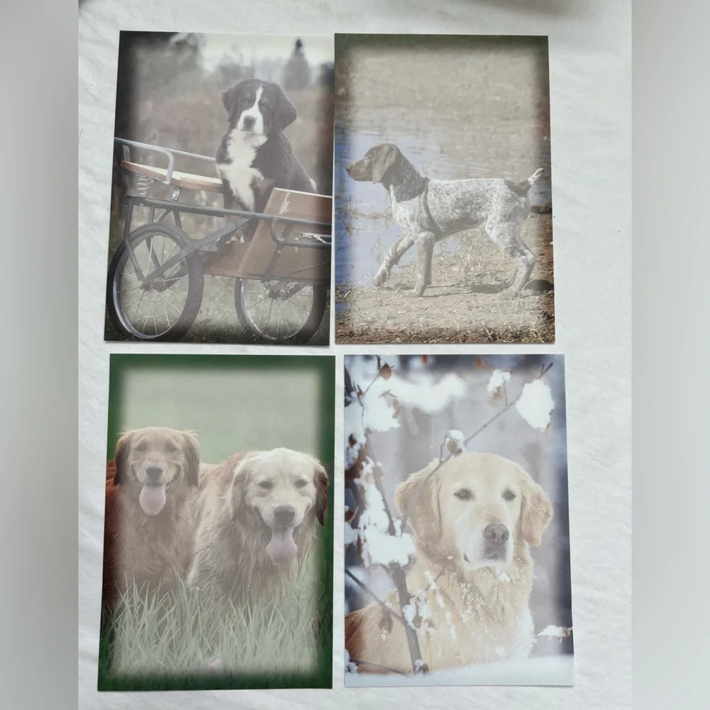 DOGS Notes Letters Collection Sheets Cards Envelopes NEW but Some Missing VTG
